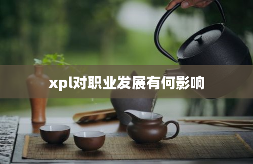 xpl对职业发展有何影响