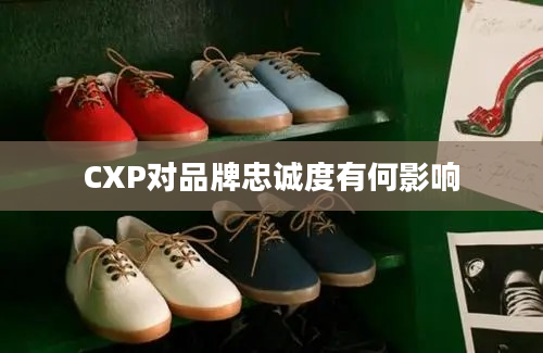 CXP对品牌忠诚度有何影响