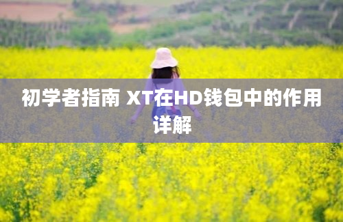 初学者指南 XT在HD钱包中的作用详解