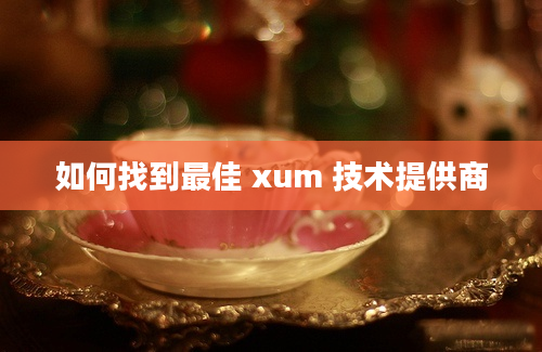 如何找到最佳 xum 技术提供商