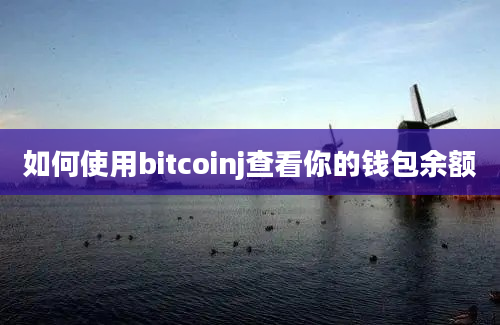 如何使用bitcoinj查看你的钱包余额