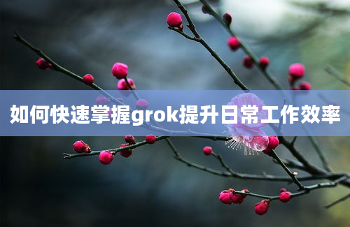 如何快速掌握grok提升日常工作效率