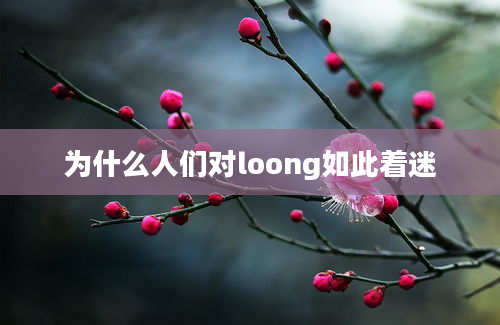 为什么人们对loong如此着迷