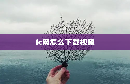 fc网怎么下载视频