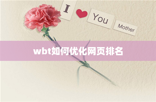 wbt如何优化网页排名