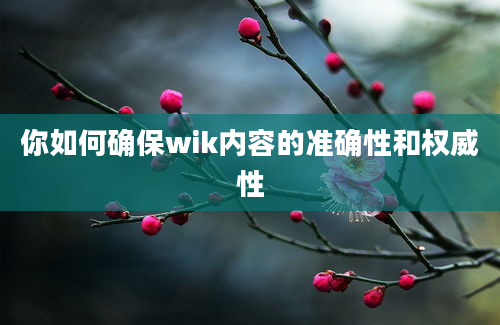 你如何确保wik内容的准确性和权威性