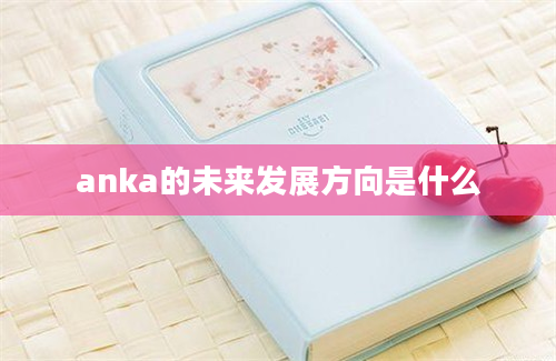 anka的未来发展方向是什么