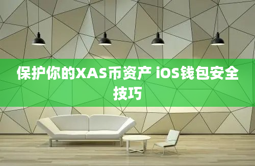 保护你的XAS币资产 iOS钱包安全技巧