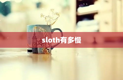 sloth有多慢