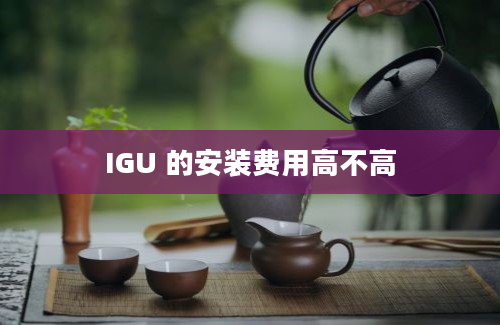 IGU 的安装费用高不高