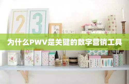 为什么PWV是关键的数字营销工具