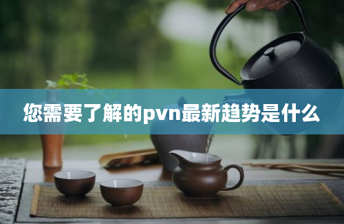 您需要了解的pvn最新趋势是什么