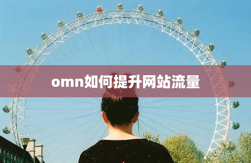 omn如何提升网站流量