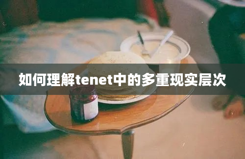 如何理解tenet中的多重现实层次