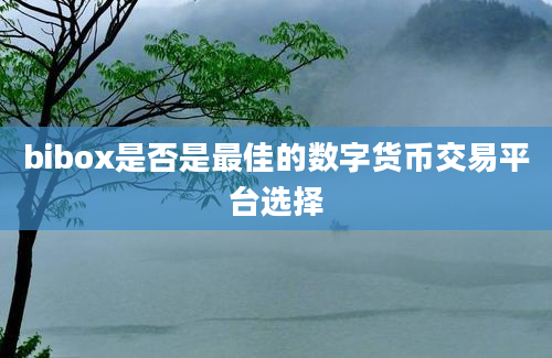 bibox是否是最佳的数字货币交易平台选择