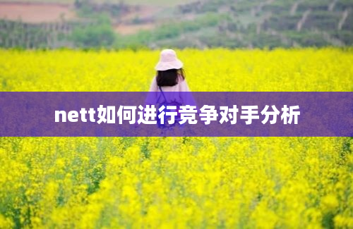 nett如何进行竞争对手分析