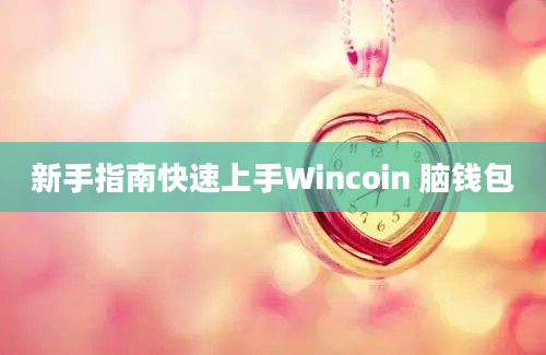 新手指南快速上手Wincoin 脑钱包