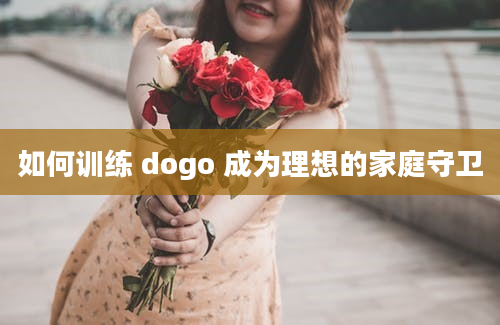 如何训练 dogo 成为理想的家庭守卫