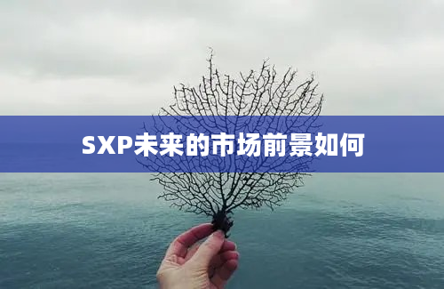 SXP未来的市场前景如何