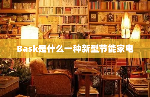 Bask是什么一种新型节能家电