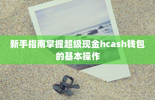 新手指南掌握超级现金hcash钱包的基本操作