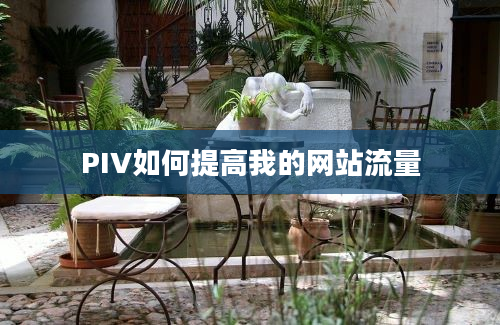 PIV如何提高我的网站流量