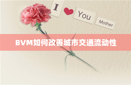 BVM如何改善城市交通流动性