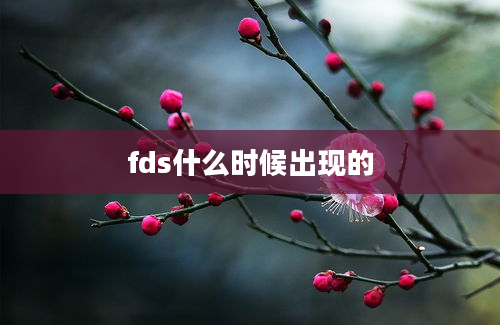 fds什么时候出现的