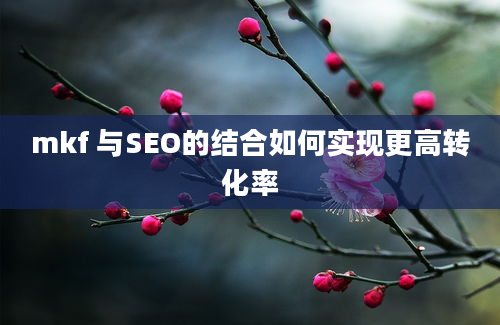 mkf 与SEO的结合如何实现更高转化率