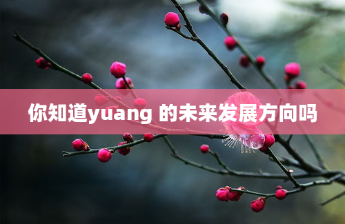 你知道yuang 的未来发展方向吗