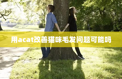 用acat改善猫咪毛发问题可能吗