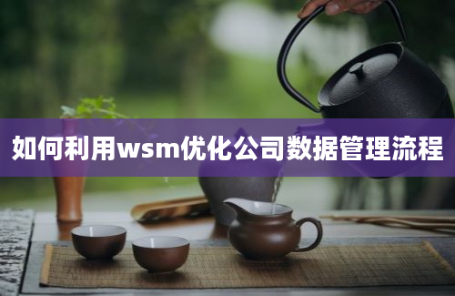 如何利用wsm优化公司数据管理流程