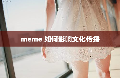 meme 如何影响文化传播