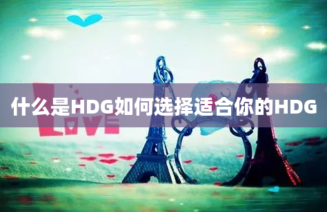 什么是HDG如何选择适合你的HDG