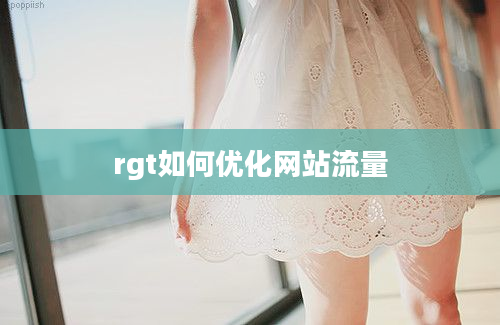 rgt如何优化网站流量