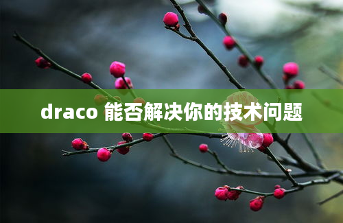 draco 能否解决你的技术问题