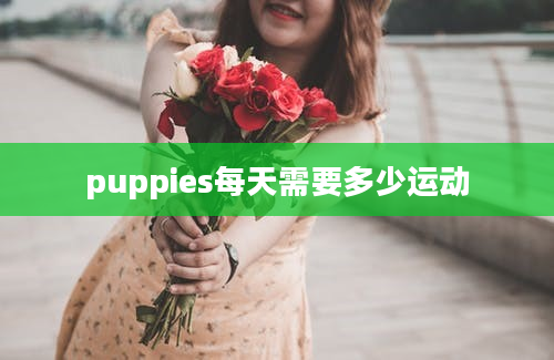 puppies每天需要多少运动