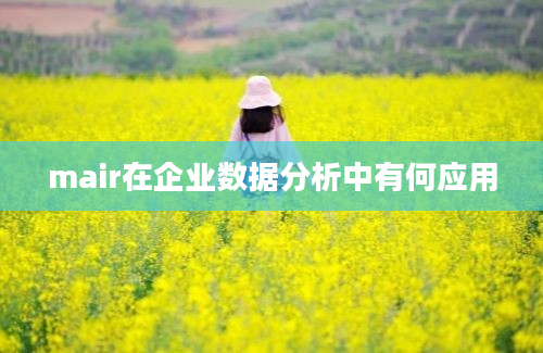 mair在企业数据分析中有何应用