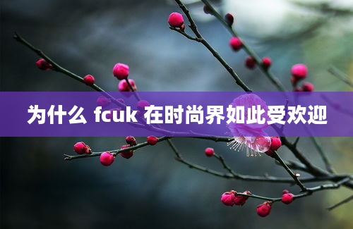 为什么 fcuk 在时尚界如此受欢迎