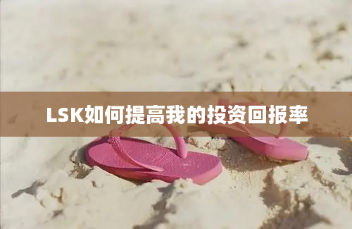 LSK如何提高我的投资回报率