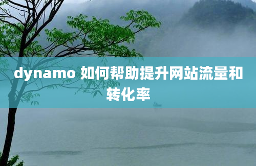 dynamo 如何帮助提升网站流量和转化率