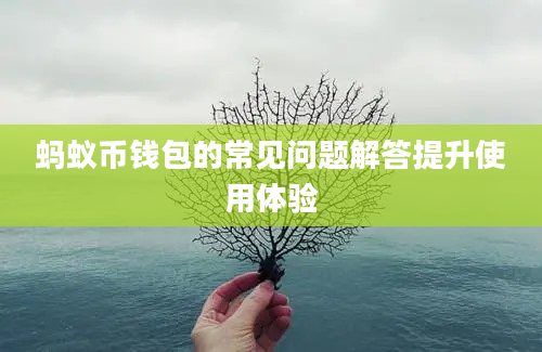 蚂蚁币钱包的常见问题解答提升使用体验