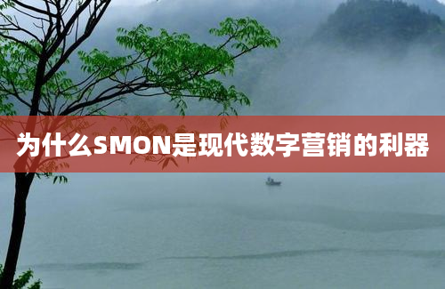 为什么SMON是现代数字营销的利器