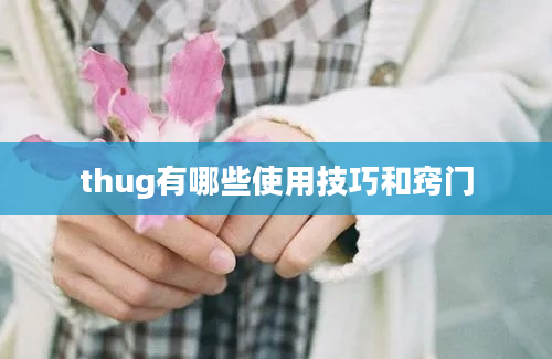 thug有哪些使用技巧和窍门