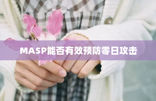 MASP能否有效预防零日攻击