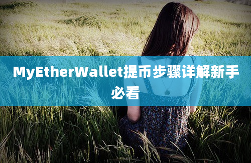 MyEtherWallet提币步骤详解新手必看