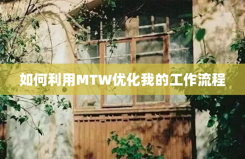 如何利用MTW优化我的工作流程