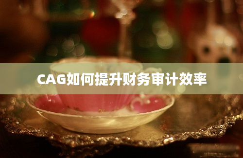 CAG如何提升财务审计效率