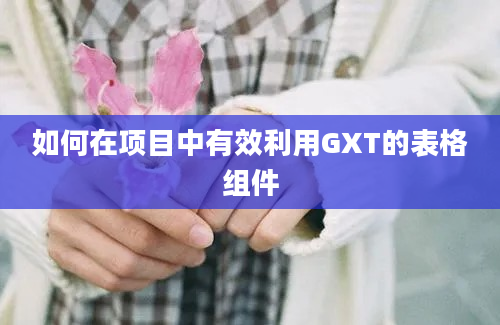 如何在项目中有效利用GXT的表格组件