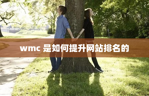 wmc 是如何提升网站排名的